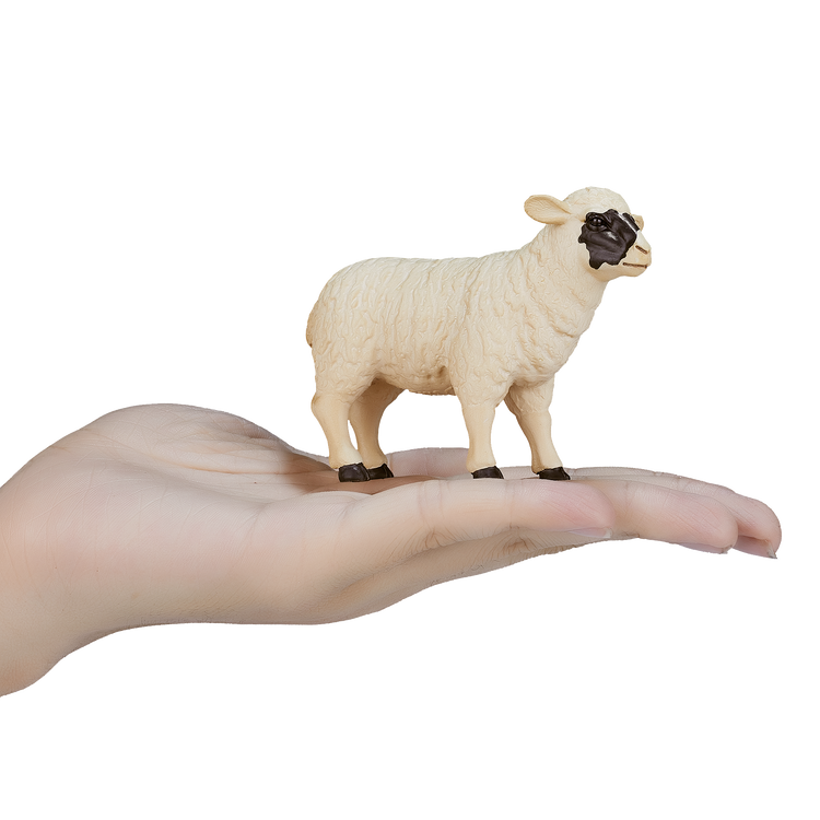 Black faced Sheep (Ewe)