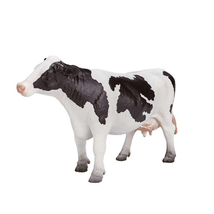 Holstein Cow