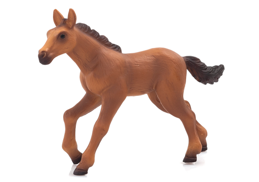 Hannoverian Foal running