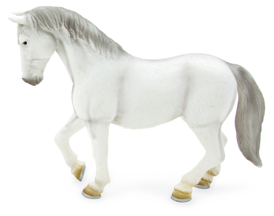 Lipizzaner Mare