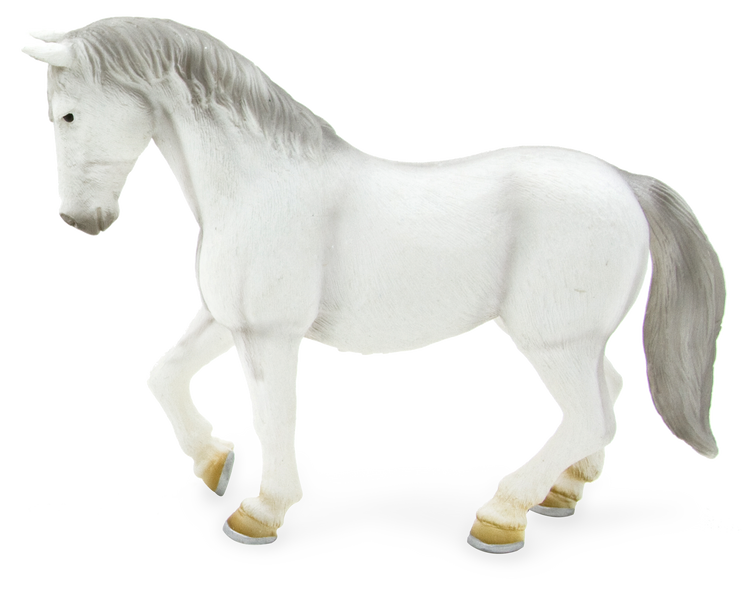 Lipizzaner Mare