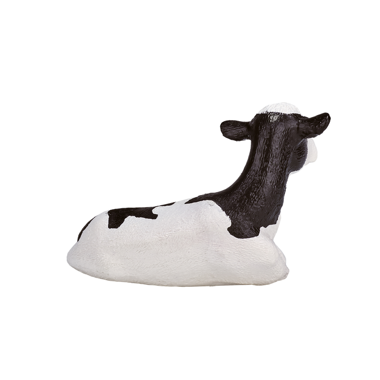 Holstein Calf  laying down