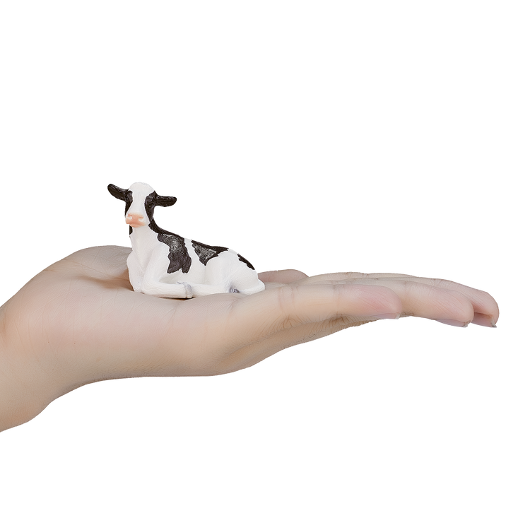 Holstein Calf  laying down