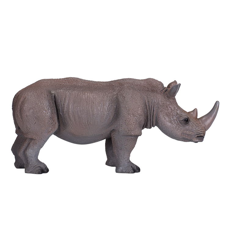 White Rhinoceros