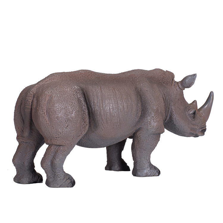 White Rhinoceros
