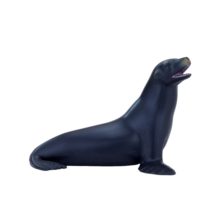 Californian Sea Lion