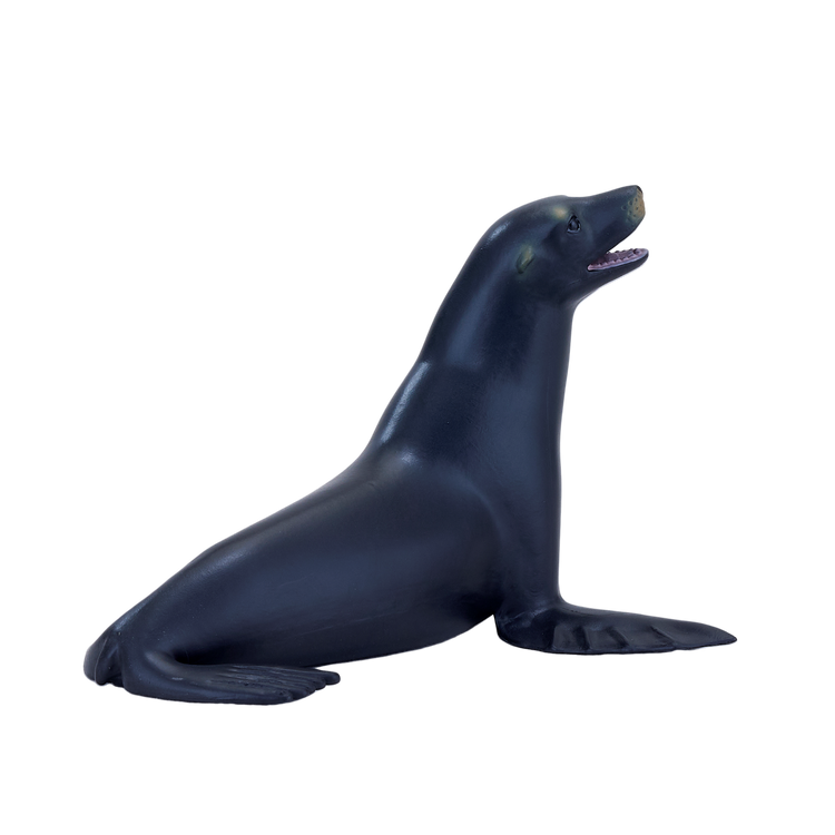 Californian Sea Lion