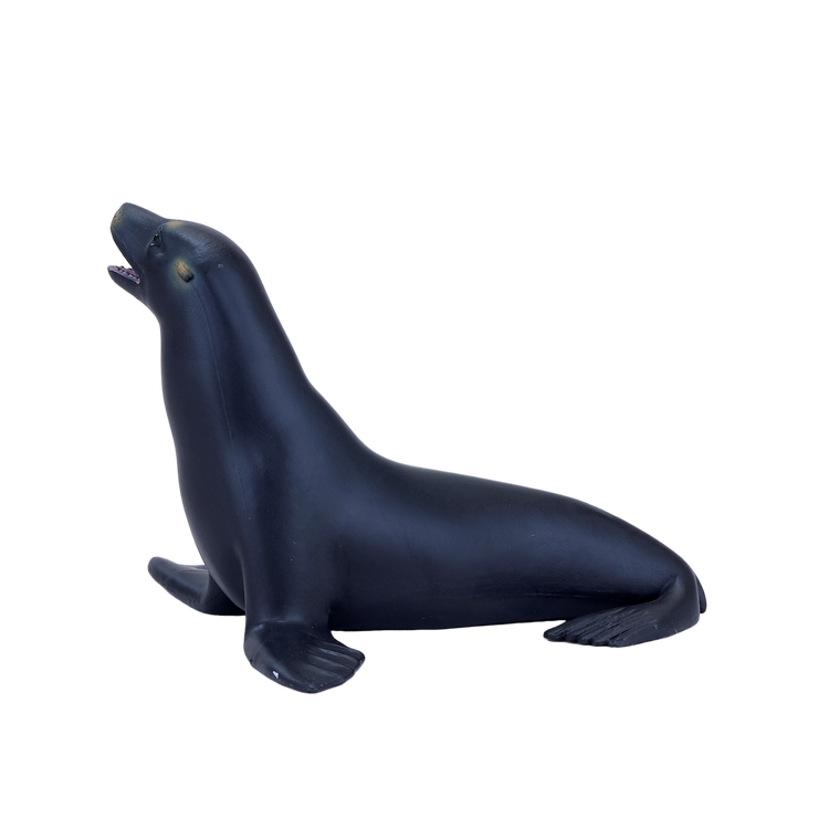 Californian Sea Lion