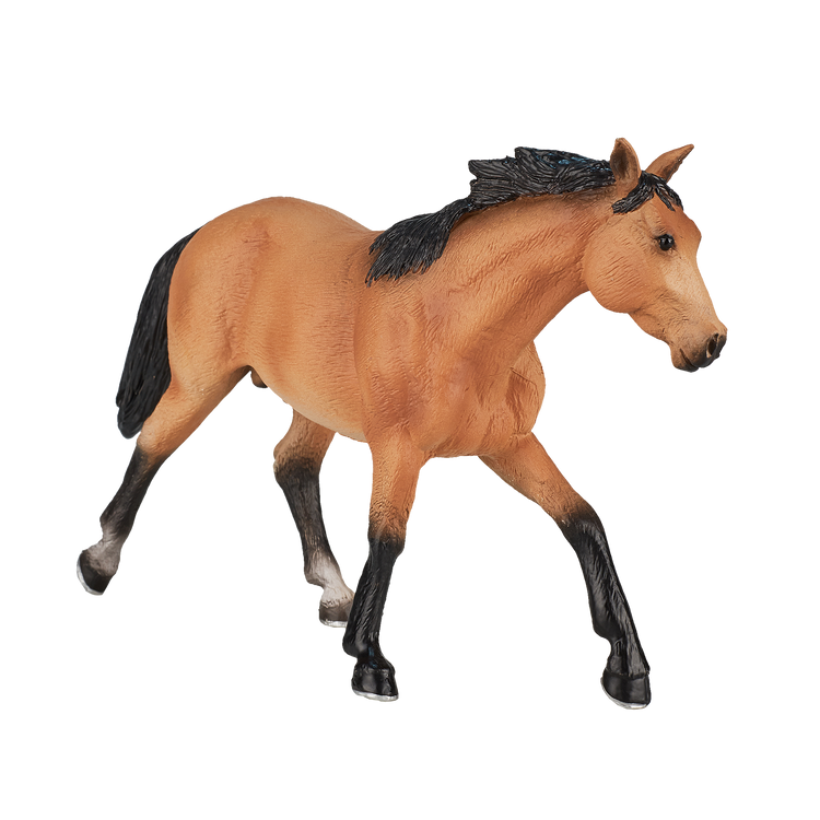 Quarter Horse Buckskin