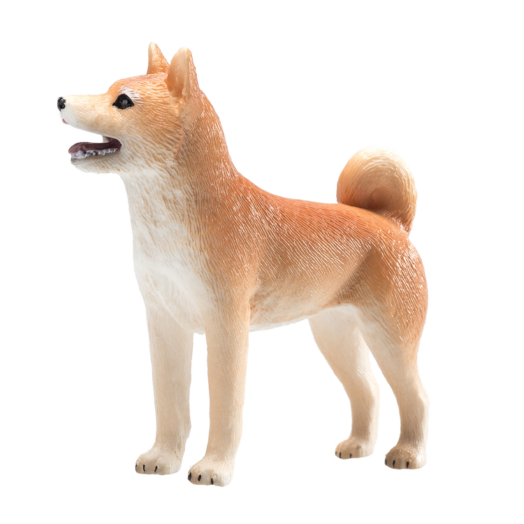 Shiba Inu