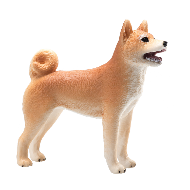 Shiba Inu