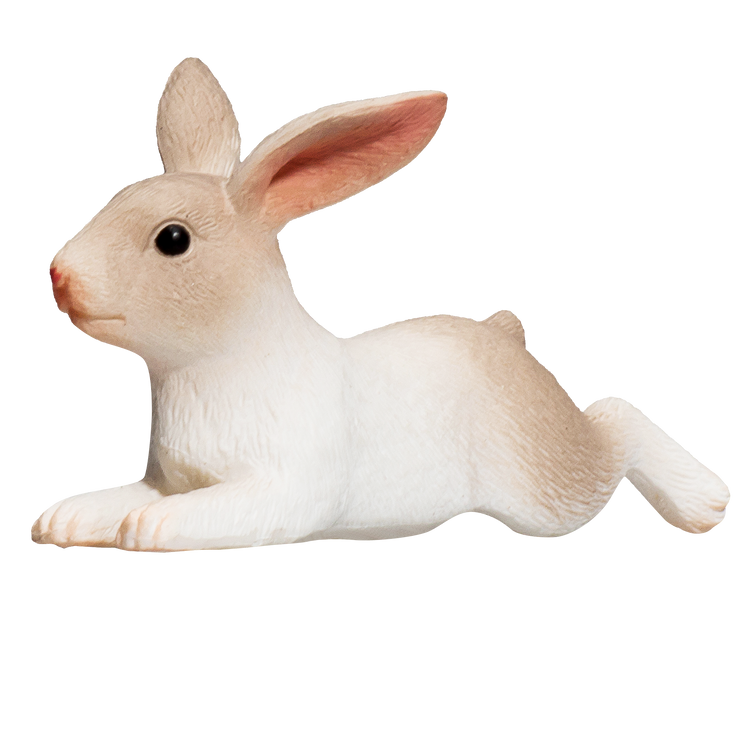 Rabbit Lying
