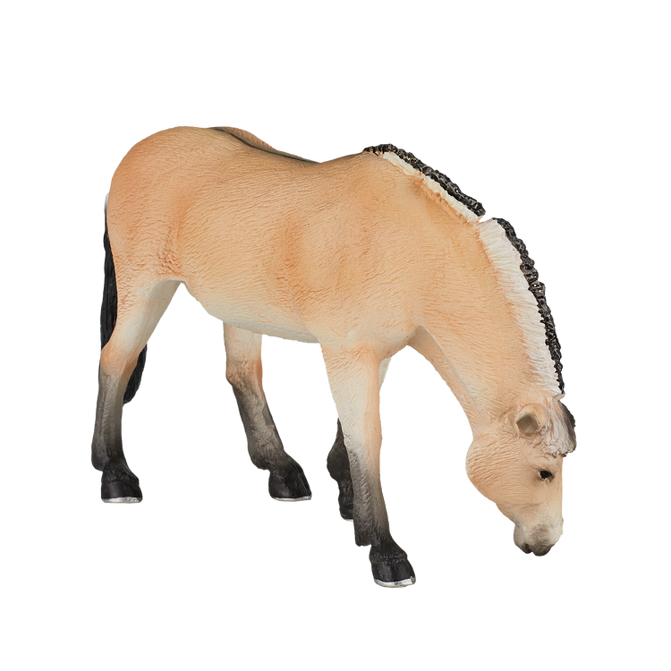 Fjord Mare