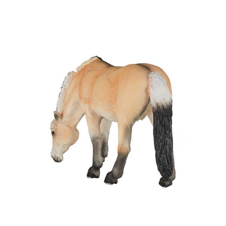 Fjord Mare