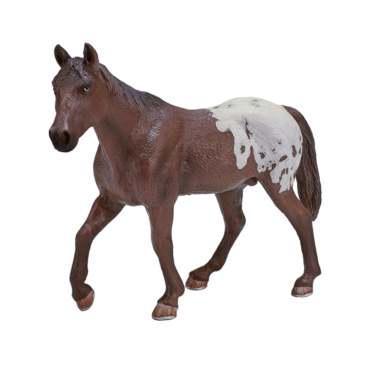 Appaloosa Stallion Chestnut Blanket