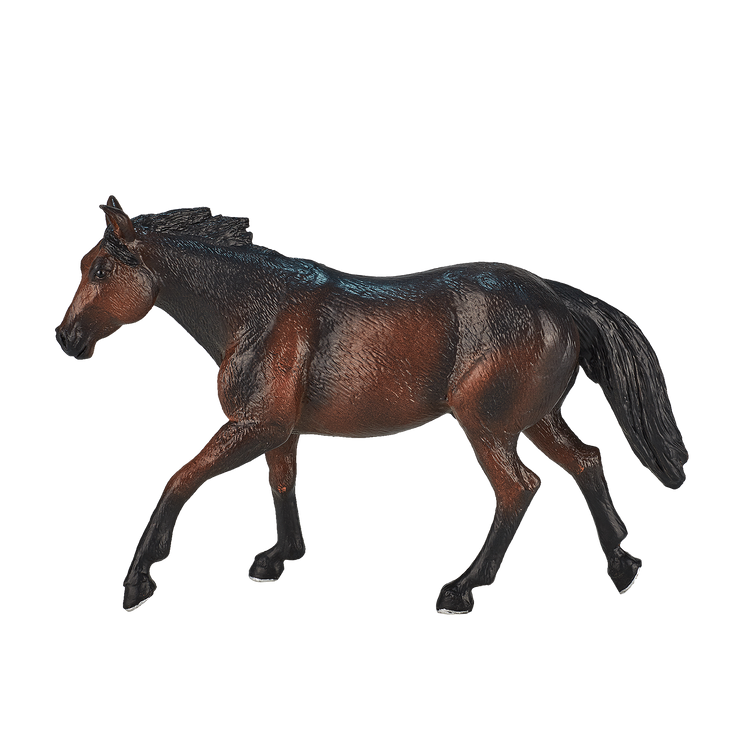 Quarter Horse Sooty Bay