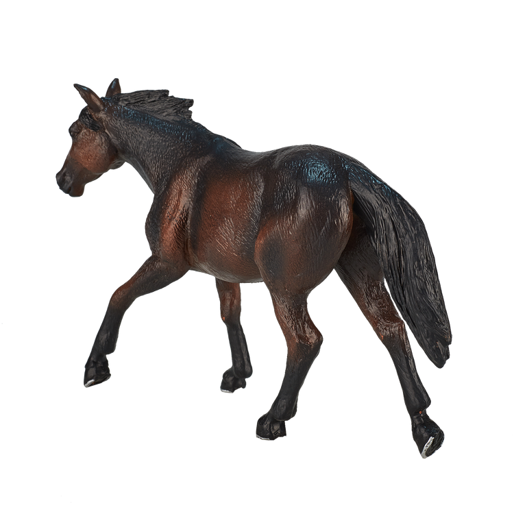 Quarter Horse Sooty Bay