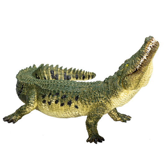 Crocodile with Articulated Jaw