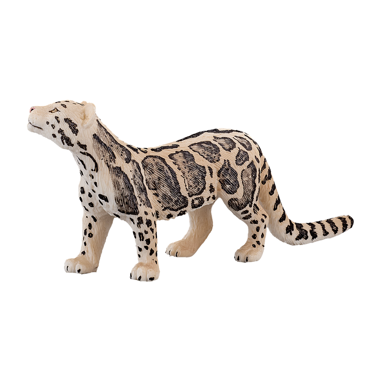 Clouded Leopard