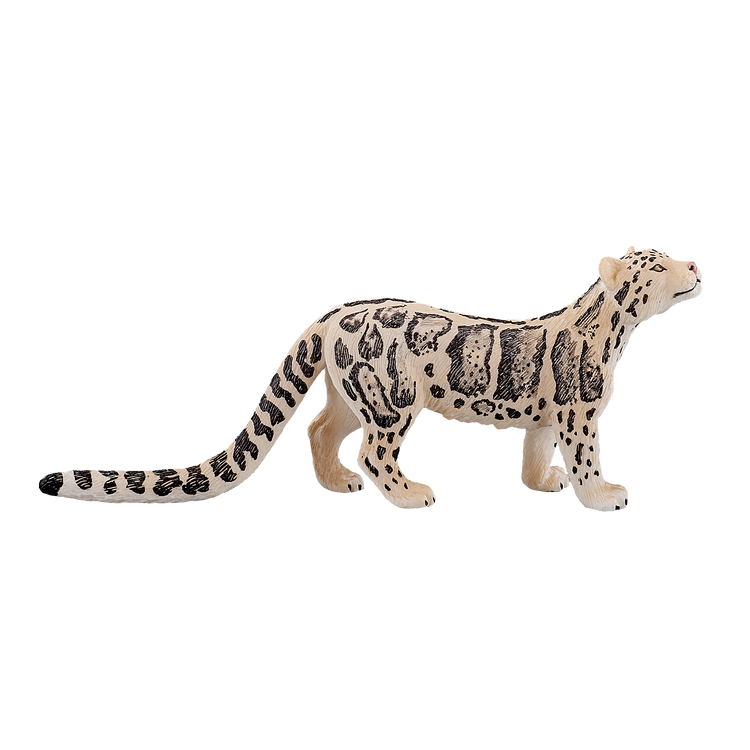 Clouded Leopard