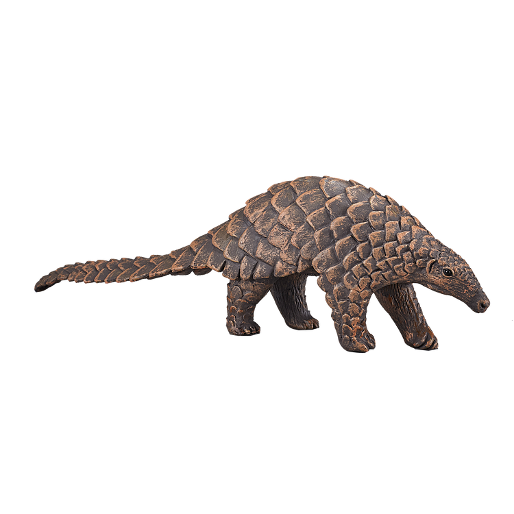 Indian Pangolin