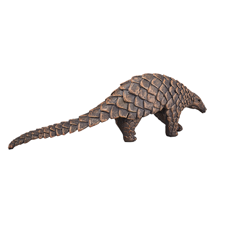 Indian Pangolin