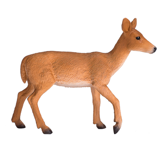 White Tailed Deer Doe