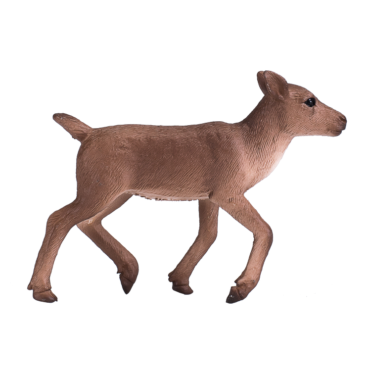 Reindeer Calf
