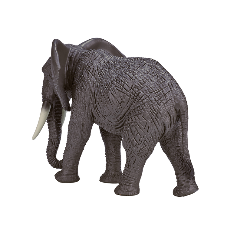 African Elephant
