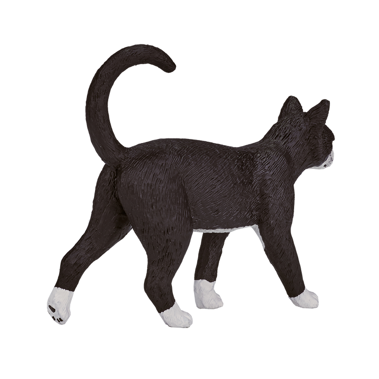 Cat Black & White