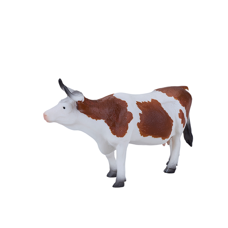 Simmental Cow