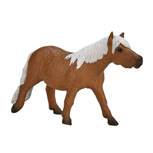 Shetland Pony