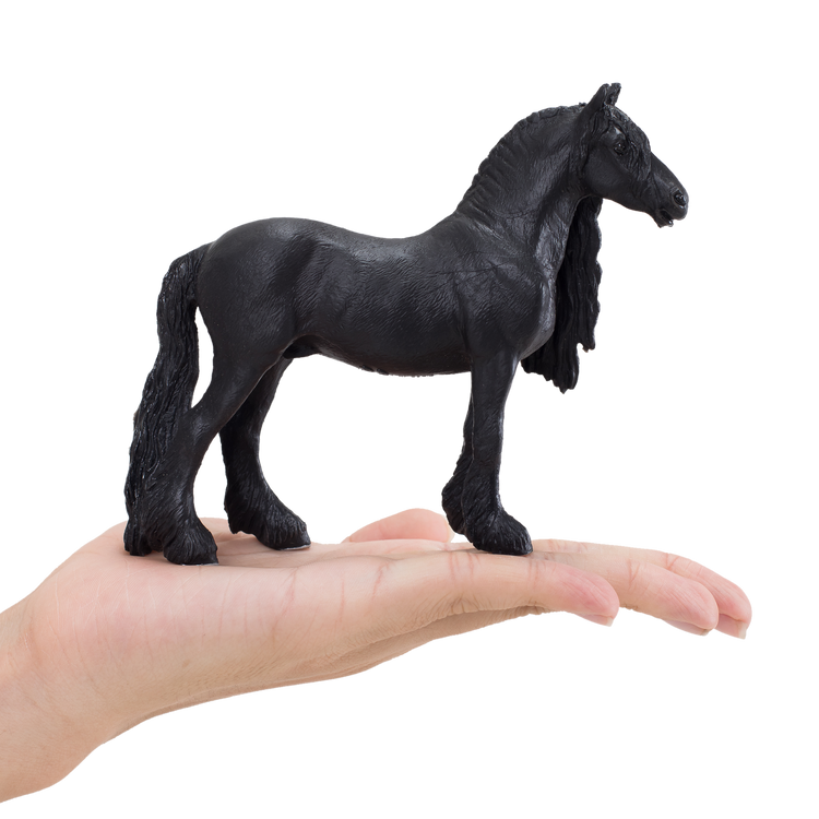 Friesian Gelding