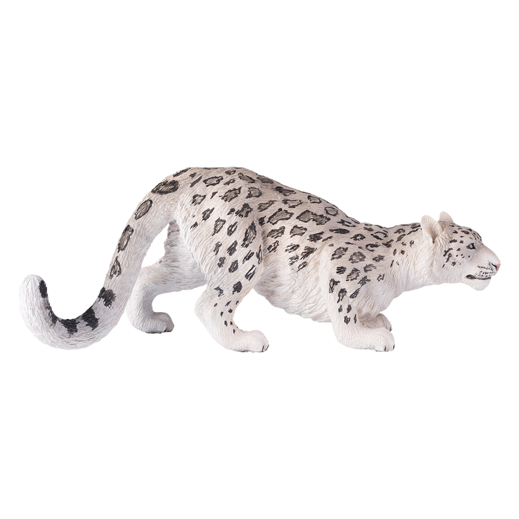 Snow Leopard