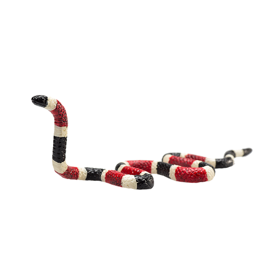 Coral Snake