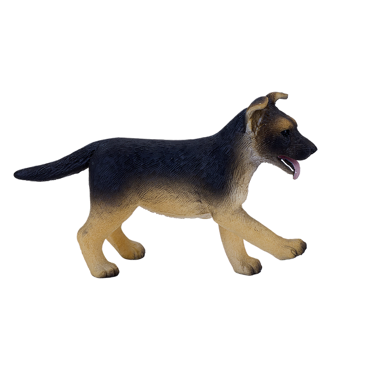 German Shepherd Puppy