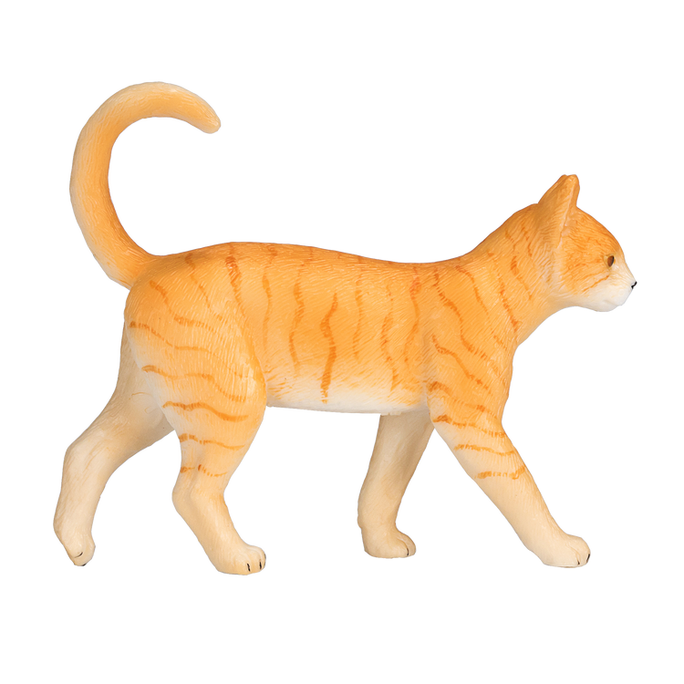 Ginger Tabby Cat