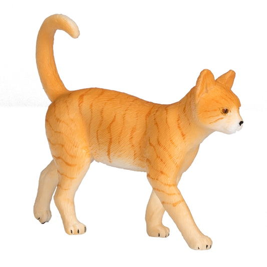 Ginger Tabby Cat