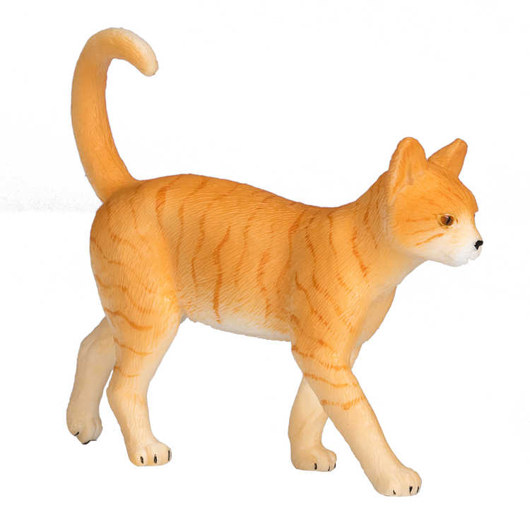 Ginger Tabby Cat