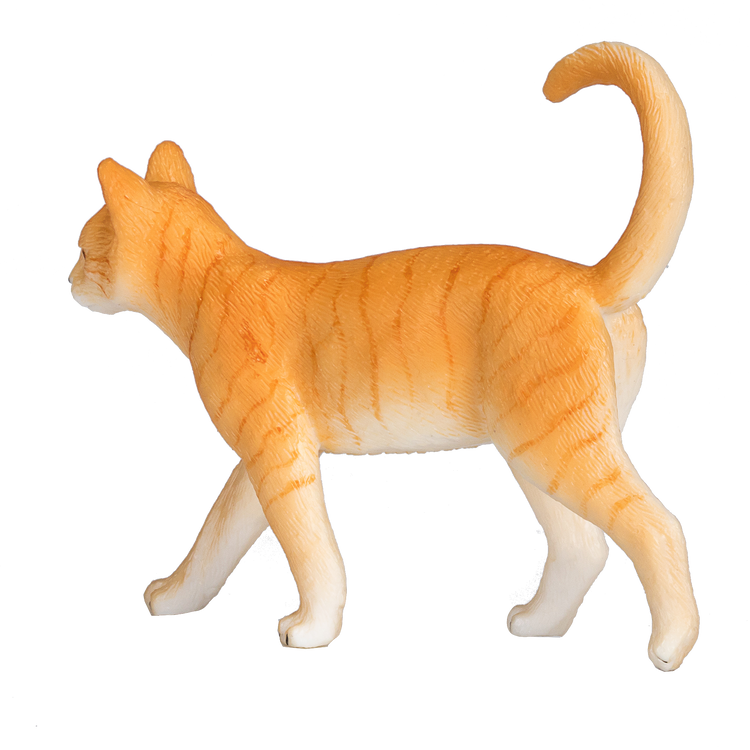 Ginger Tabby Cat