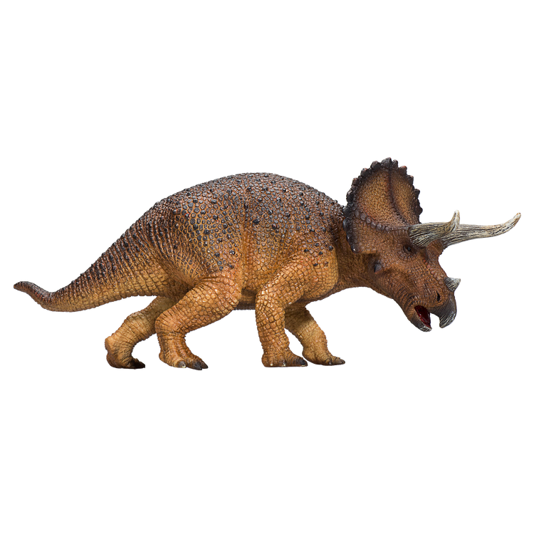 Triceratops