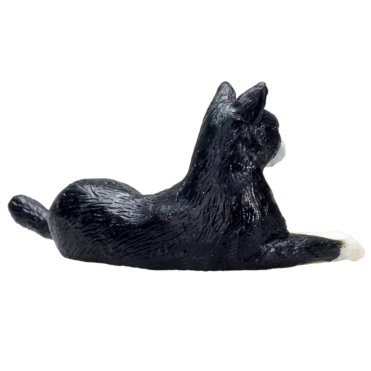 Cat Lying Black and White