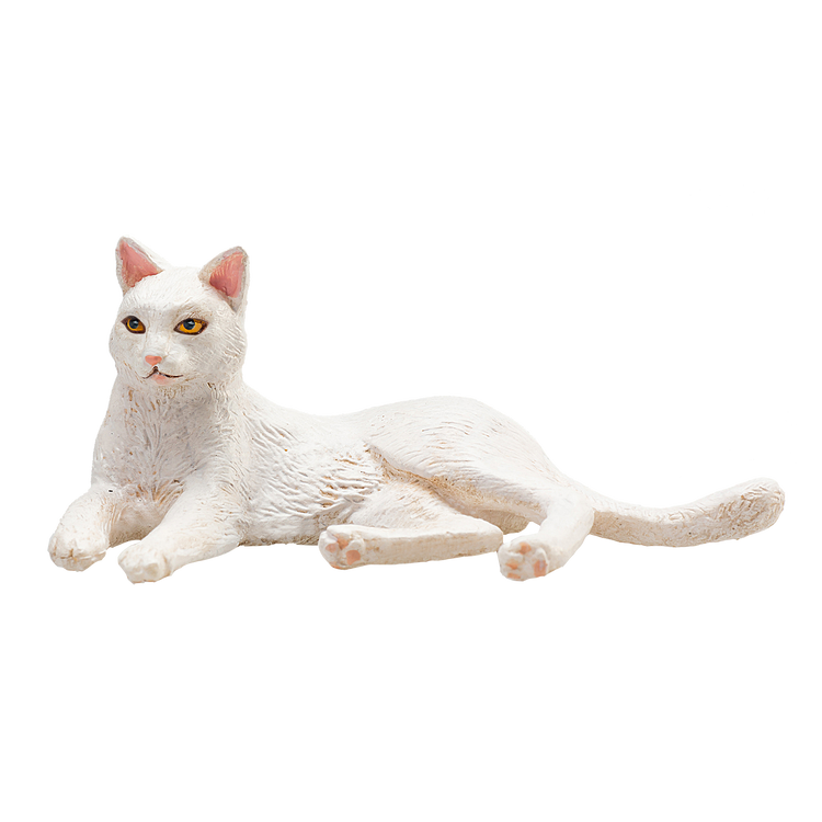 Cat Lying White