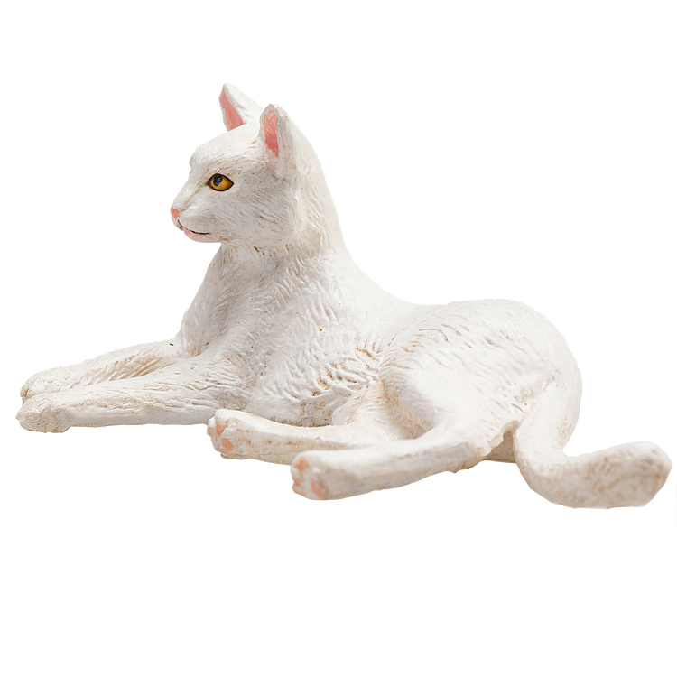 Cat Lying White
