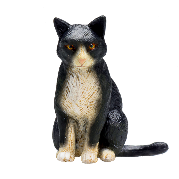 Cat Sitting Black and White