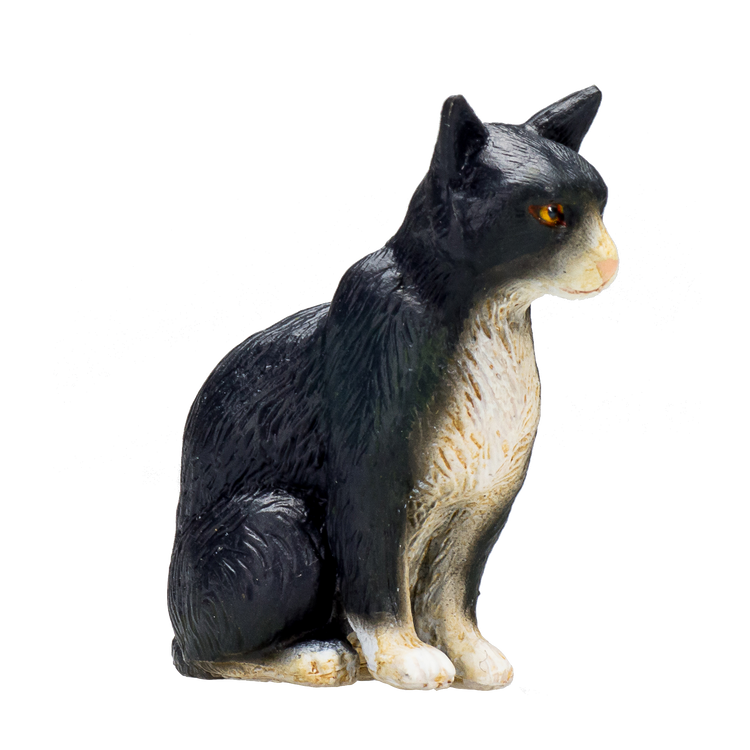 Cat Sitting Black and White