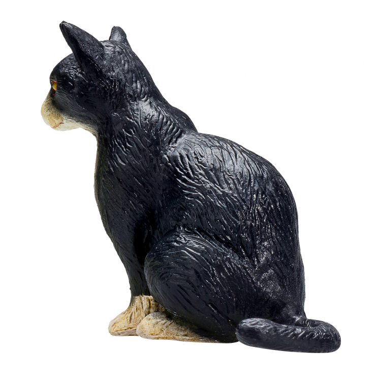 Cat Sitting Black and White