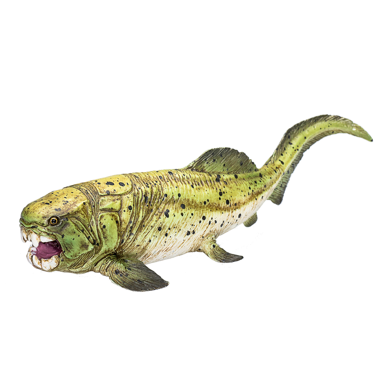 Dunkleosteus