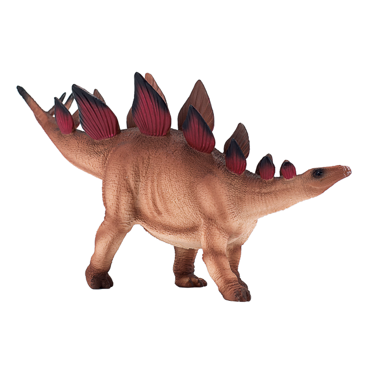 Stegosaurus