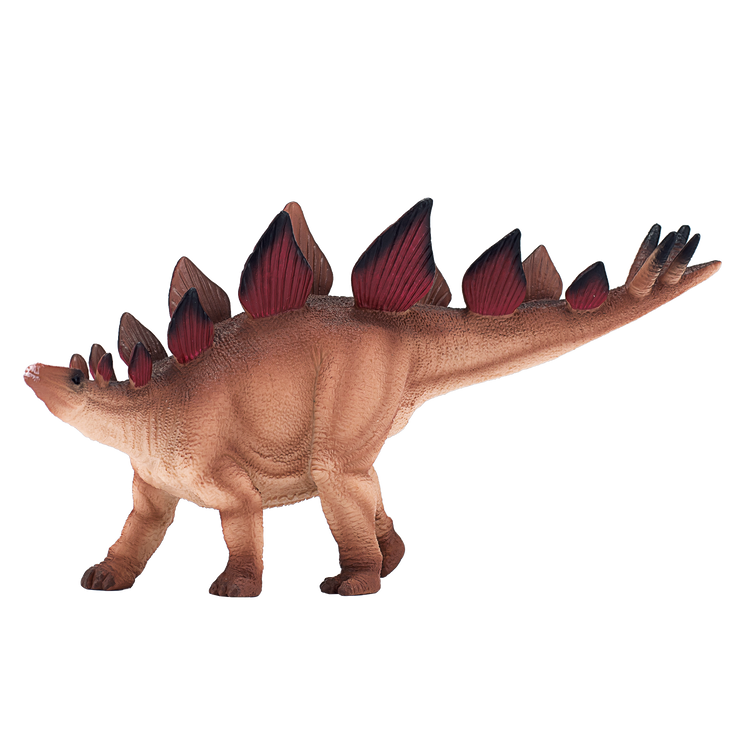 Stegosaurus